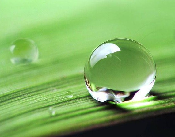 涂料潤濕劑<a href='https://www.m.ge5a.com/product/product-0001,0011,0020.shtml' class='keys' title='點擊查看關(guān)于分散劑的相關(guān)信息' target='_blank'>分散劑</a>