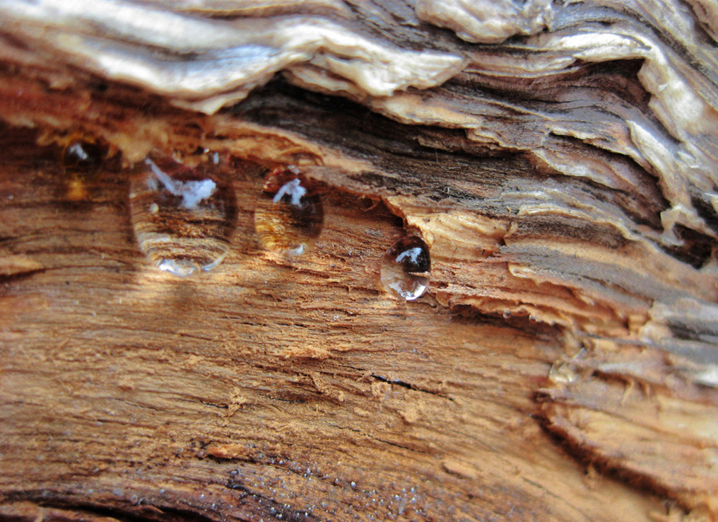 水性聚氨酯、丙烯酸樹(shù)脂