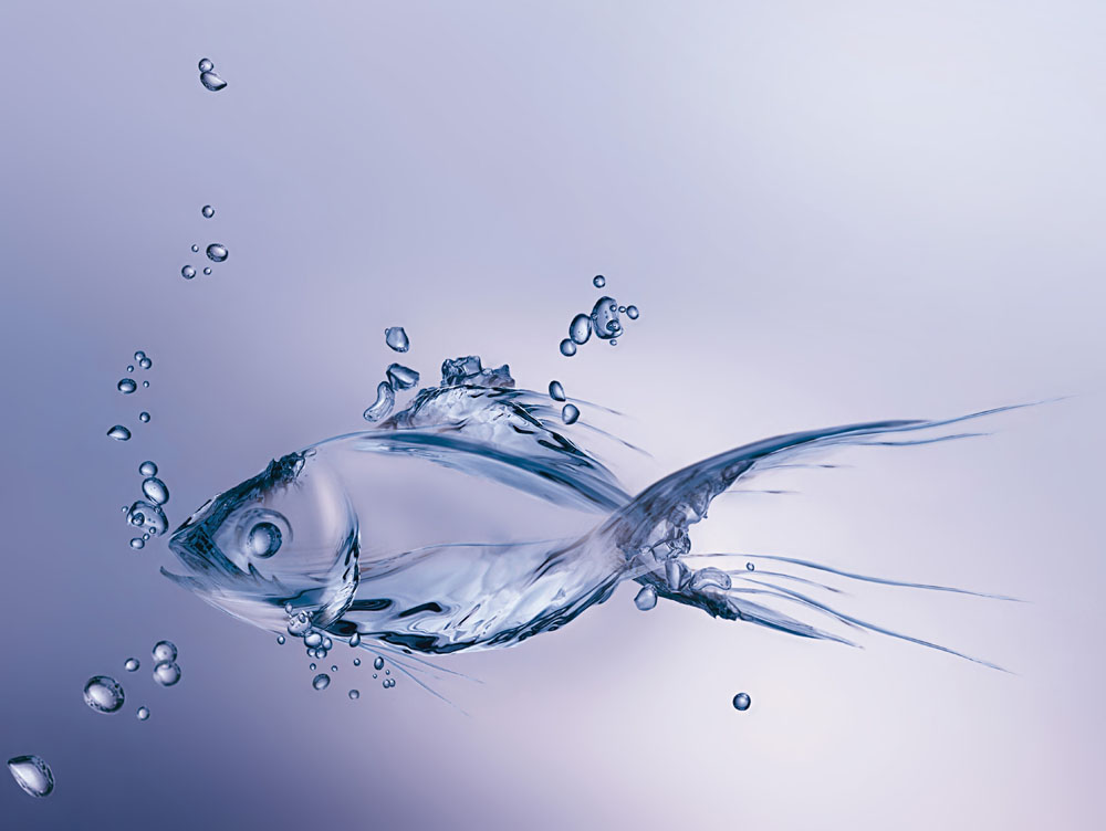 潤濕<a href='https://www.m.ge5a.com/product/product-0001,0011,0020.shtml' class='keys' title='點擊查看關(guān)于分散劑的相關(guān)信息' target='_blank'>分散劑</a>