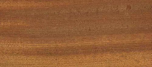 木器漆基材潤濕劑,木器漆潤濕劑,水性潤濕劑,底材潤濕劑,潤濕劑廠家,迪高潤濕劑,<a href='https://www.m.ge5a.com/product/product-0001,0011,0018.shtml' class='keys' title='點(diǎn)擊查看關(guān)于潤濕劑的相關(guān)信息' target='_blank'>潤濕劑</a>批發(fā)